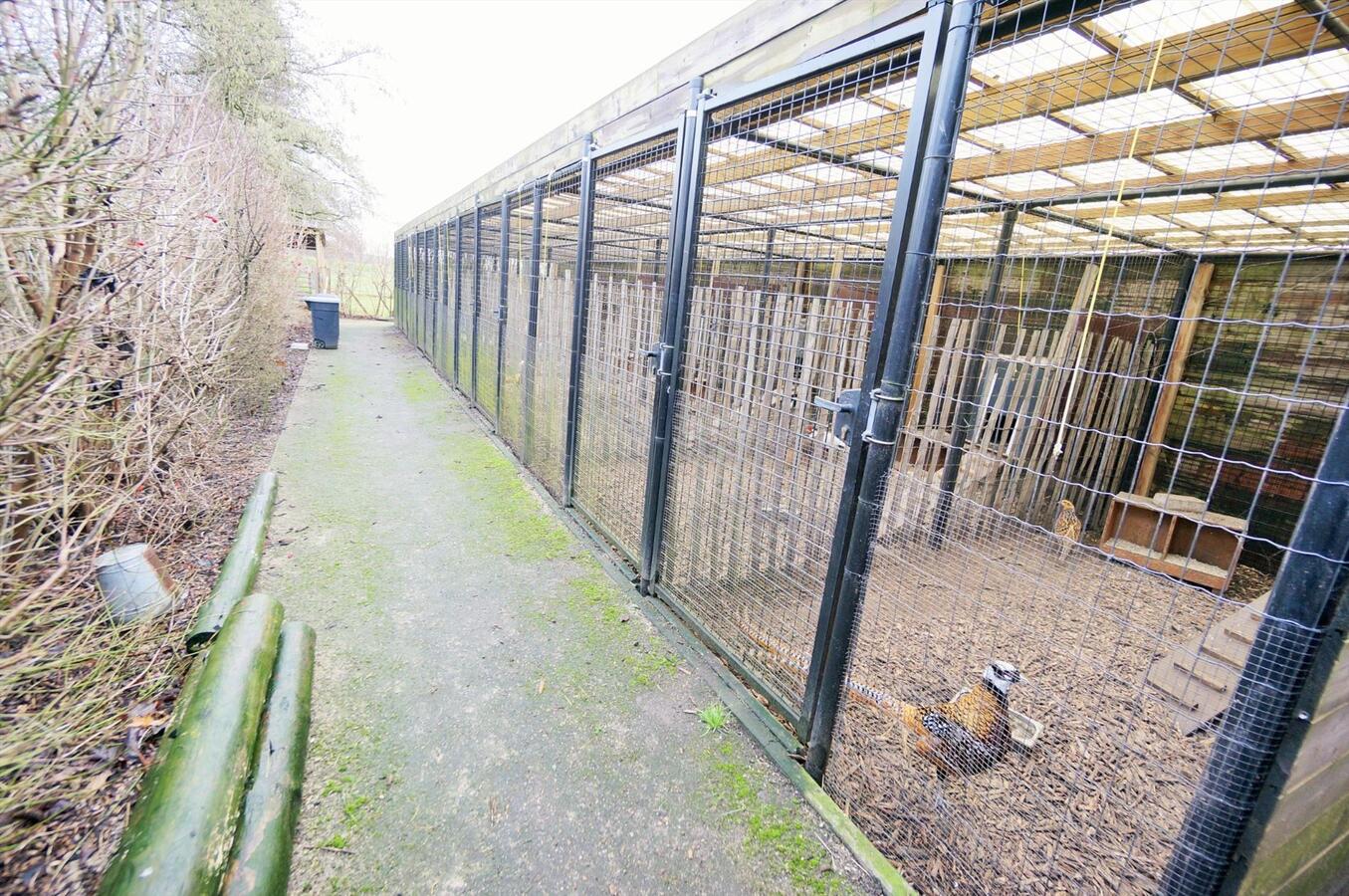 Charmante villahoeve met ingericht bijgebouw op ca. 80 are  te Wuustwezel 