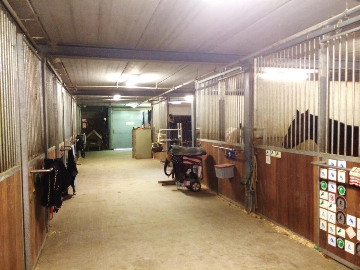 Hippisch complex met woonst op ca 4 Ha te Diksmuide 