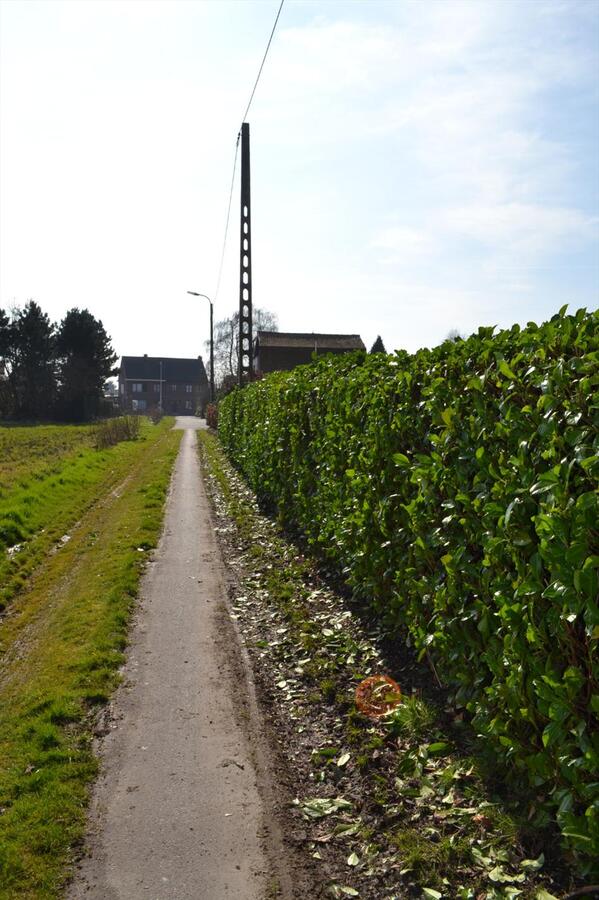 Leuke gezinswoning met zwembad in St-Gillis-Waas (aankoop weide mogelijk) 