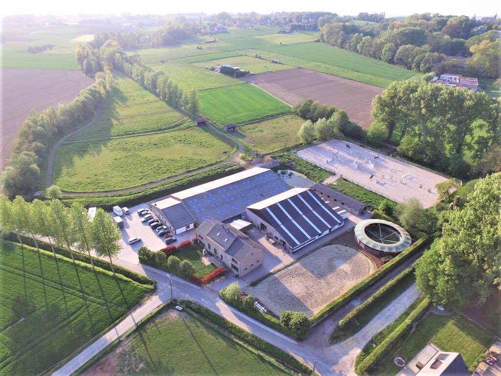 OPTIE - Woning met professionele paardenaccommodatie op ca. 4ha te Lennik (Vlaams-Brabant) 