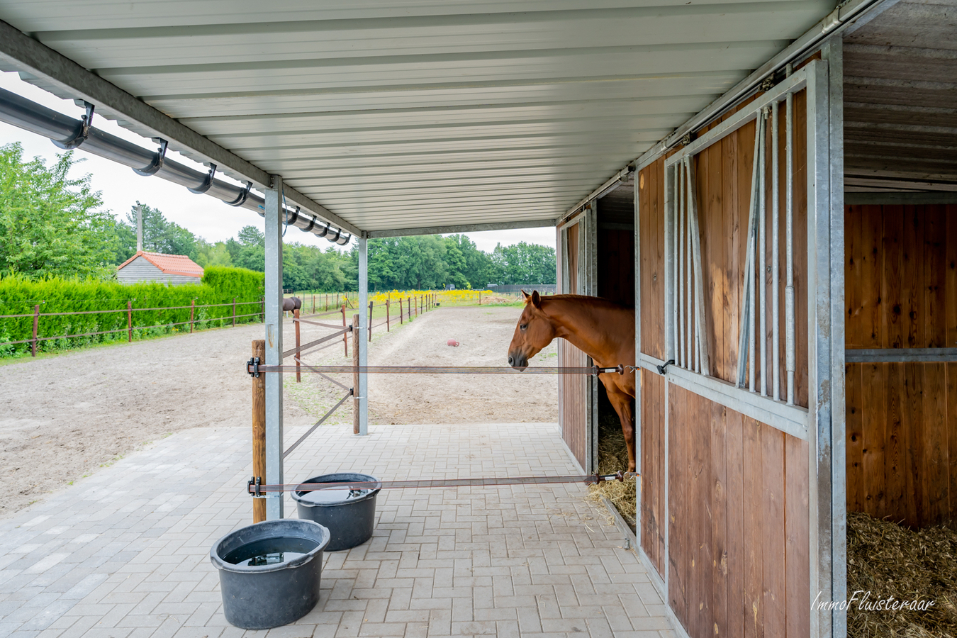 Instapklare villa met paardenstallen en weide op ca. 50 are te Leopoldsburg. 