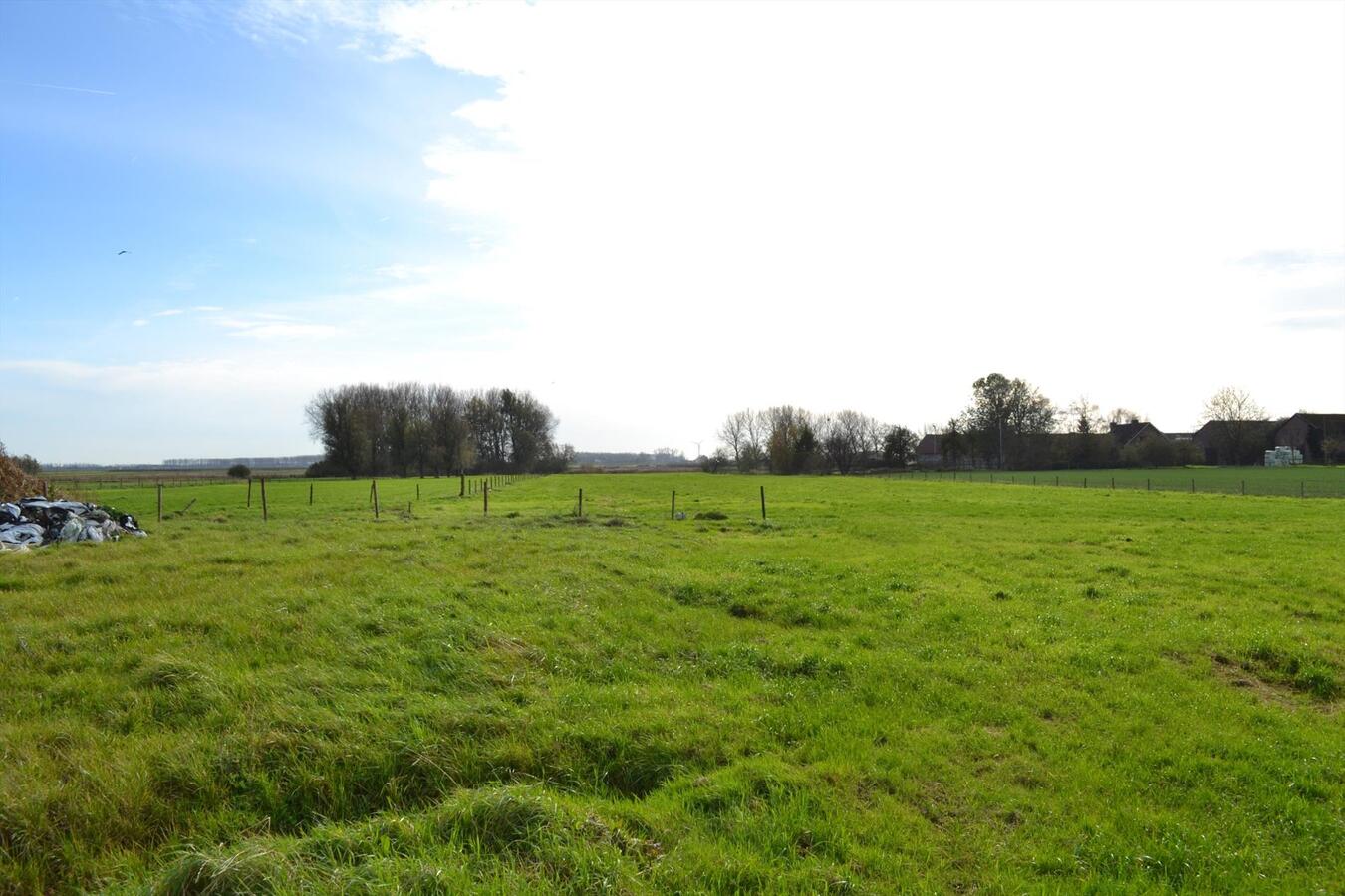 Te renoveren hoeve op ca 2,4 ha te Meerdonk 