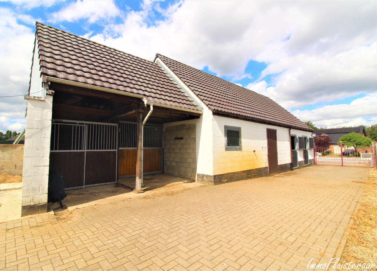 IN OPTIE - Woning met paardenstallen, aanhorigheden, buitenpiste en weiland op ca. 65a te Schaffen (Diest; Vlaams-Brabant) 