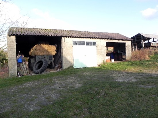 Te renoveren boerderij op 1.74 Ha te Meeuwen-Gruitrode 