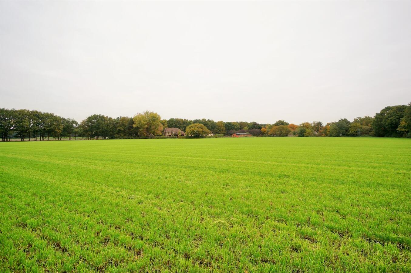 Farm sold in Westerlo