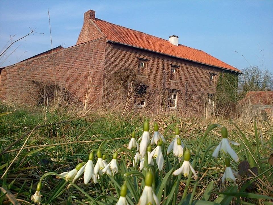 Te renoveren vierkantshoeve op ca. 2,1 ha met zeer goede ligging te Alken 