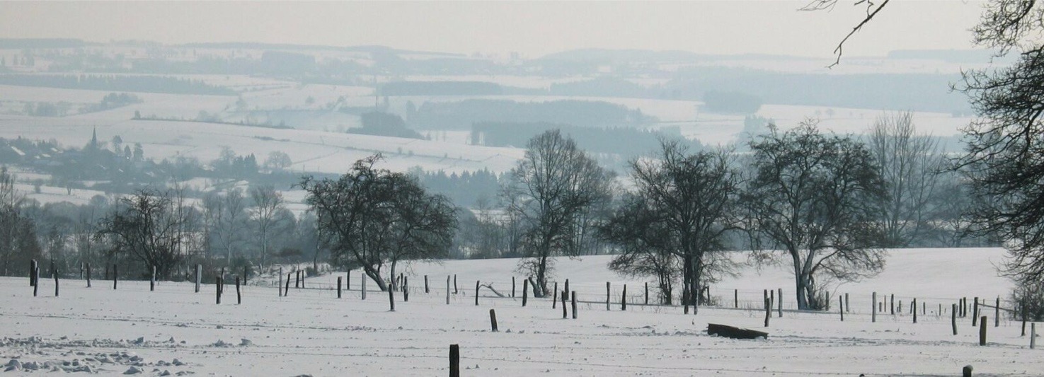 Bouwgrond met prachtig uitzicht in Gouvy! 