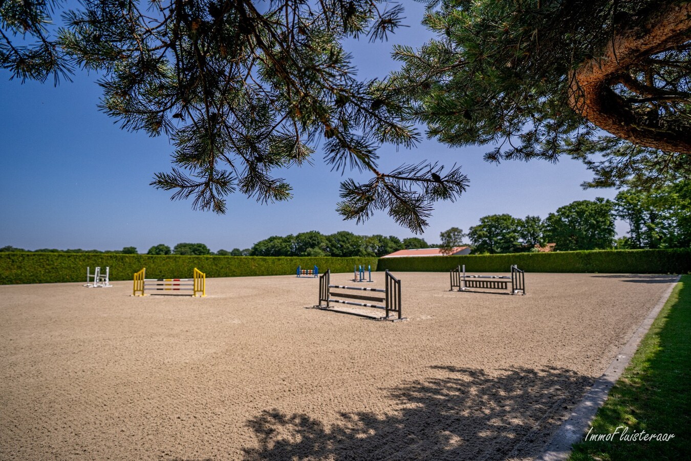 Complete horse accommodation on approximately 3.5 hectares in Helchteren 