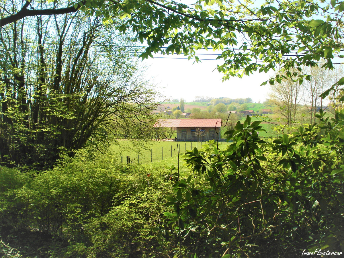 Magnifique propri&#233;t&#233; avec grande habitation, &#233;curies, salle polyvalente, terrain &#224; b&#226;tir et prairies sur environ 1,67ha &#224; Ellezelles (Hainaut) 