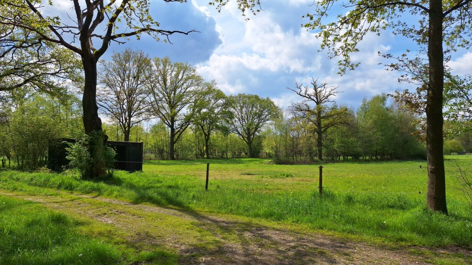 Prairie a vendre À Maaseik