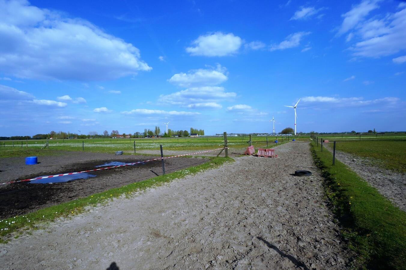 Hippisch complex op 2,6 ha te Loenhout (Wuustwezel) 