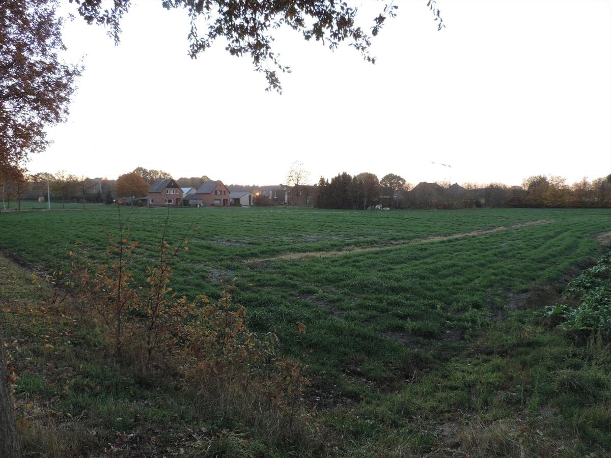 Ferme vendu À Hechtel-Eksel