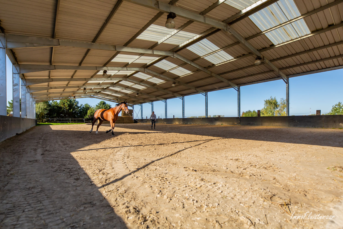 Professional horse complex on approx. 11ha in Bornival (Walloon Brabant) 