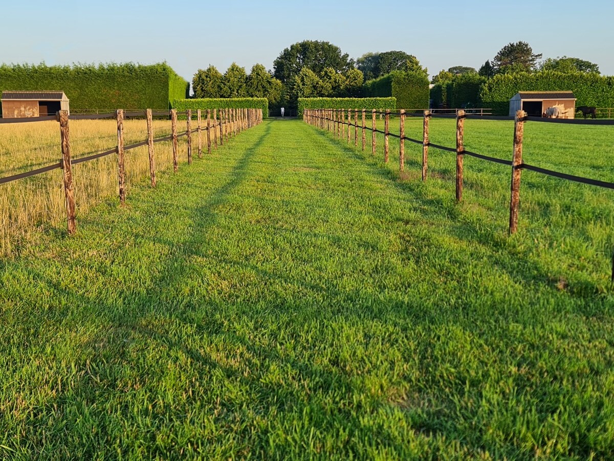 Weiland met schuilstallen op 3,5 ha te Hoogstraten 