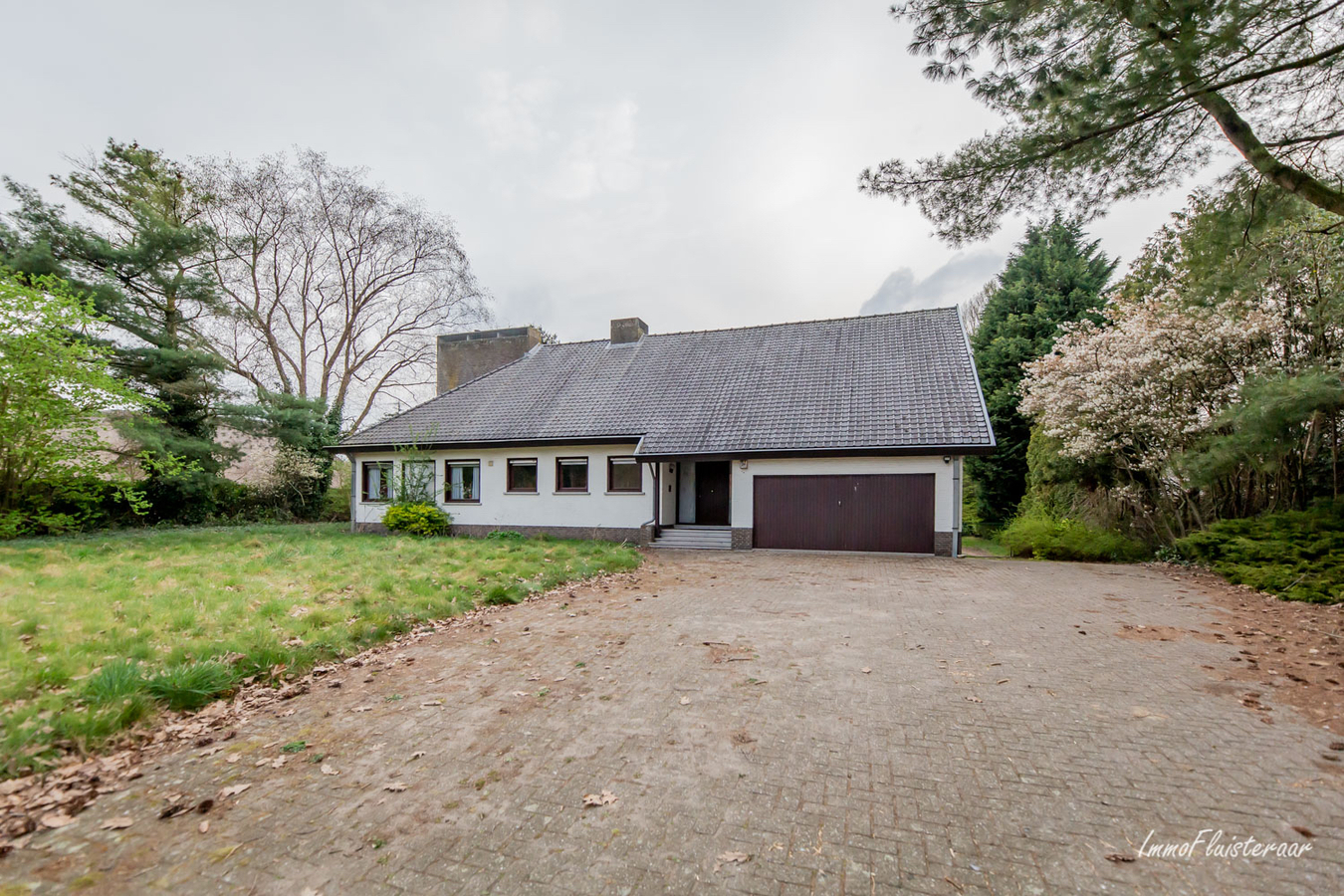 Te renoveren woning op ca. 1 Ha te Baarle-hertog 