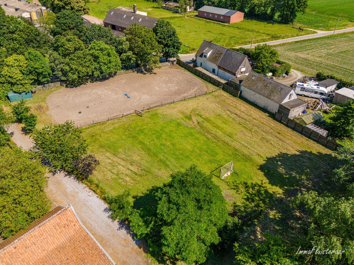 Prachtige hoeve met weilanden en stallen op ca. 2,1 ha te Kaulille (Bocholt) 