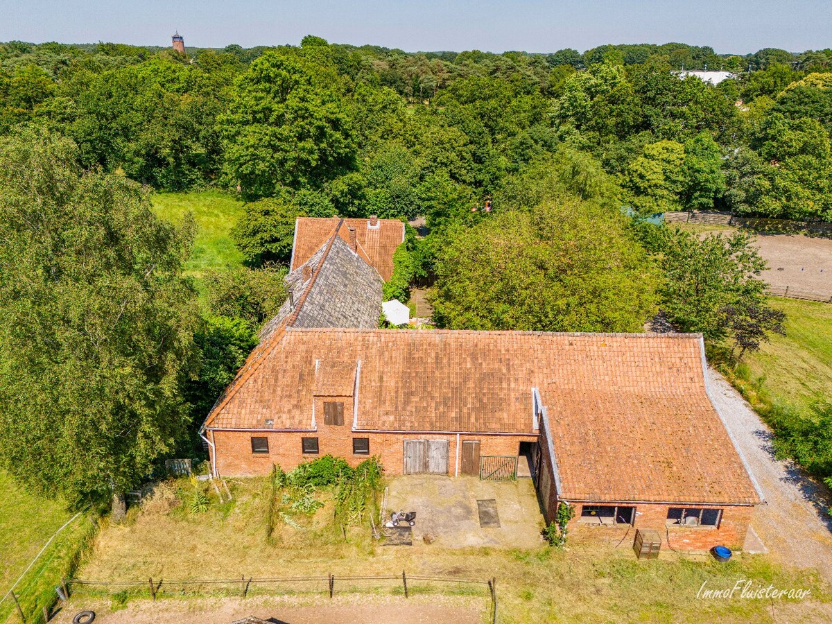 Prachtige hoeve met weilanden en stallen op ca. 2,1 ha te Kaulille (Bocholt) 