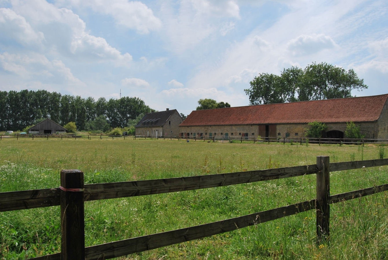 Abdijhoeve op ca. 7ha te Alveringem, Stavele 