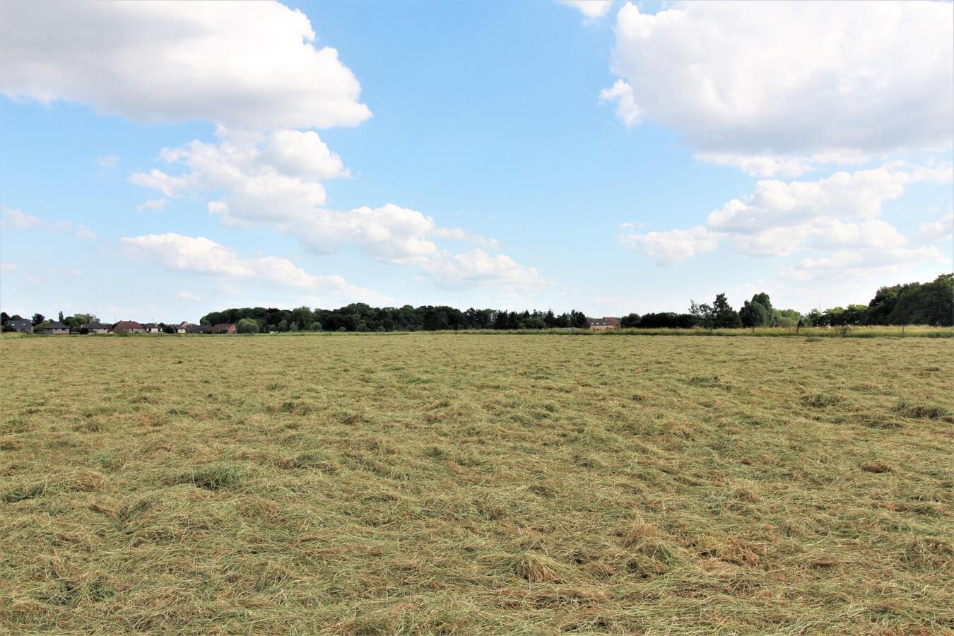 Te renoveren boerderij met loods op ca. 74a te Zemst (Vlaams-Brabant) 