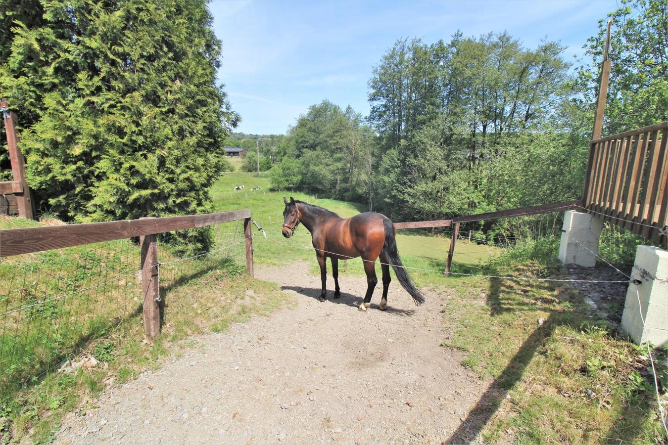 EN OPTION - Habitation avec &#233;curie, piste ext&#233;rieure et terrain sur environ 76a &#224; Somme-Leuze (Namur) 