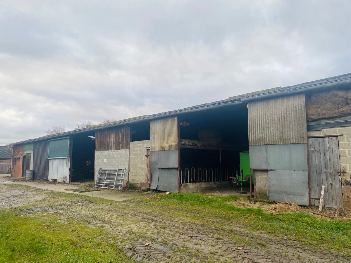 Boerderij met charmante woning, ruime stalgebouwen en weides te koop op ca. 8ha te Bocholt 