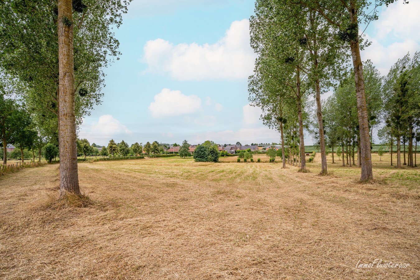 Charmante vierkantshoeve met veel potentieel op ca. 3,14 ha te Tongeren 