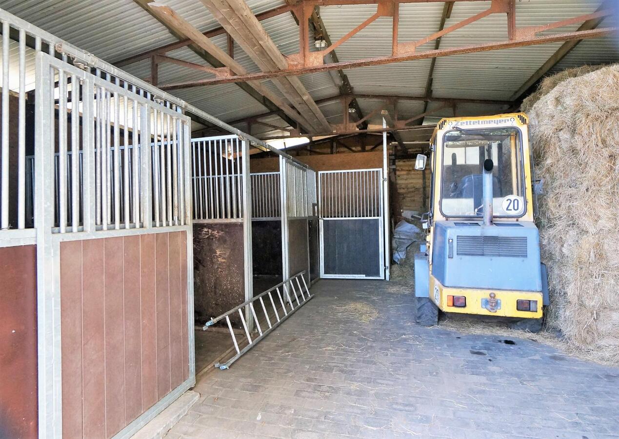 Recente woning op magnifieke locatie met 3 paardenstallen, buitenpiste en weides op ca. 96are te Opoeteren 