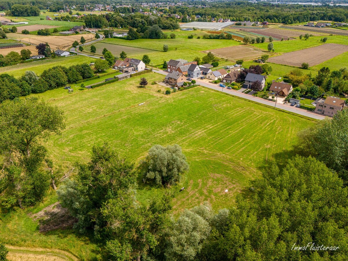 Ruime woning met weide op ca. 60 a te Puurs/Sint-Amands (Optioneel ca. 1,3 ha weide) 