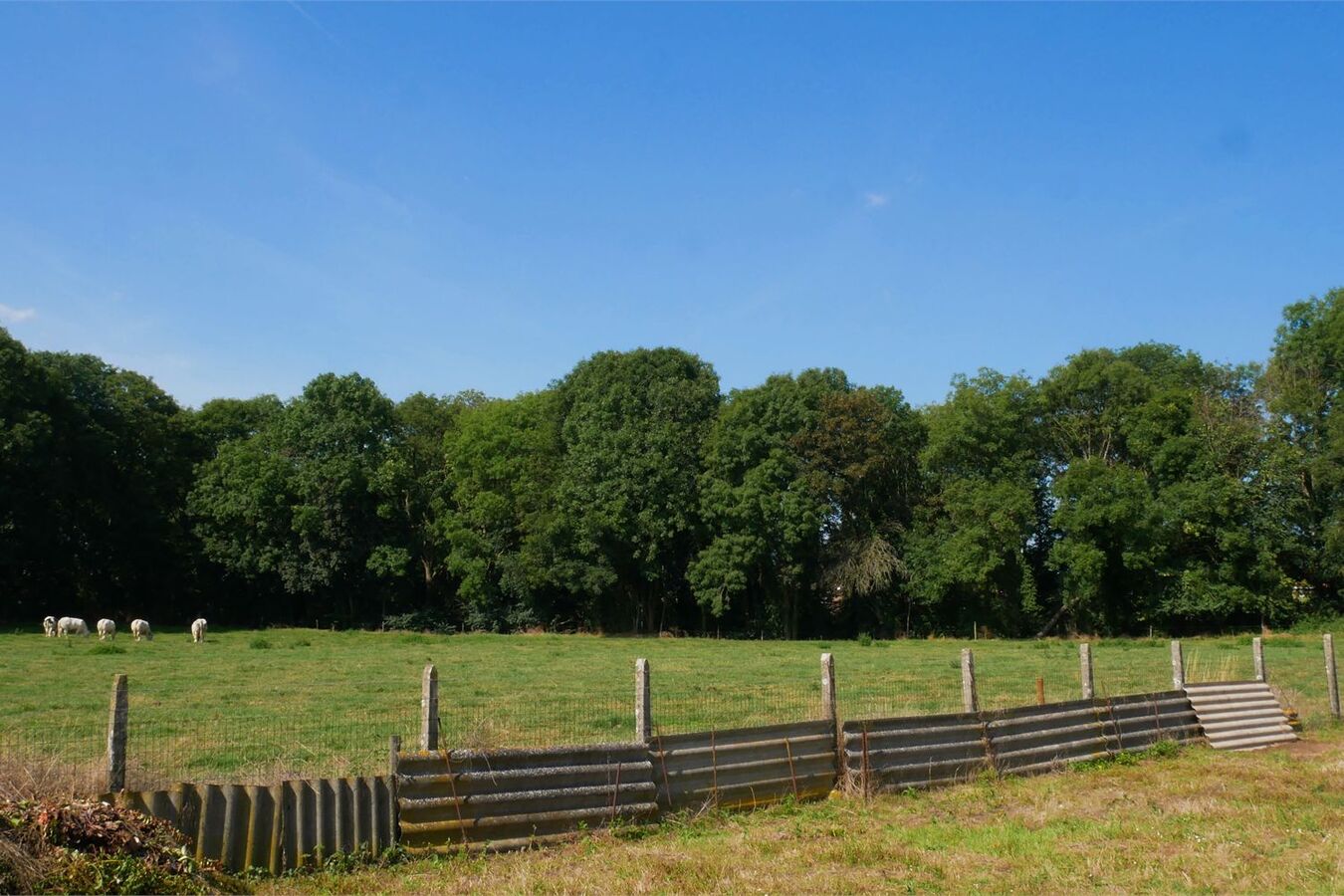 Semi-bungalow op royaal perceel van 1779 m&#178; 