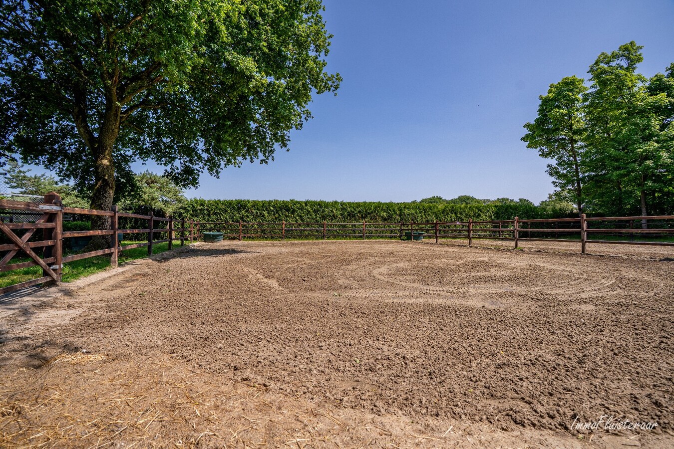 Complete horse accommodation on approximately 3.5 hectares in Helchteren 