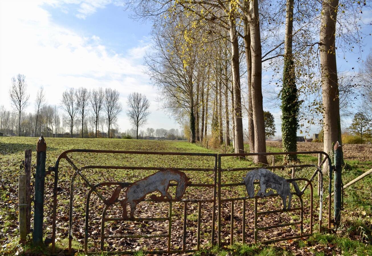 Landelijke woning met bijgebouw op ca. 2.154 m&#178; te Kruibeke (optie ca. 1,25 Ha grond) 