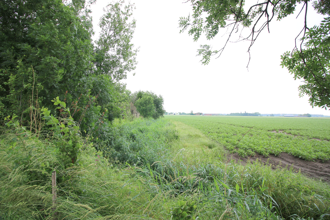 Te slopen woning op uniek stuk grond! 