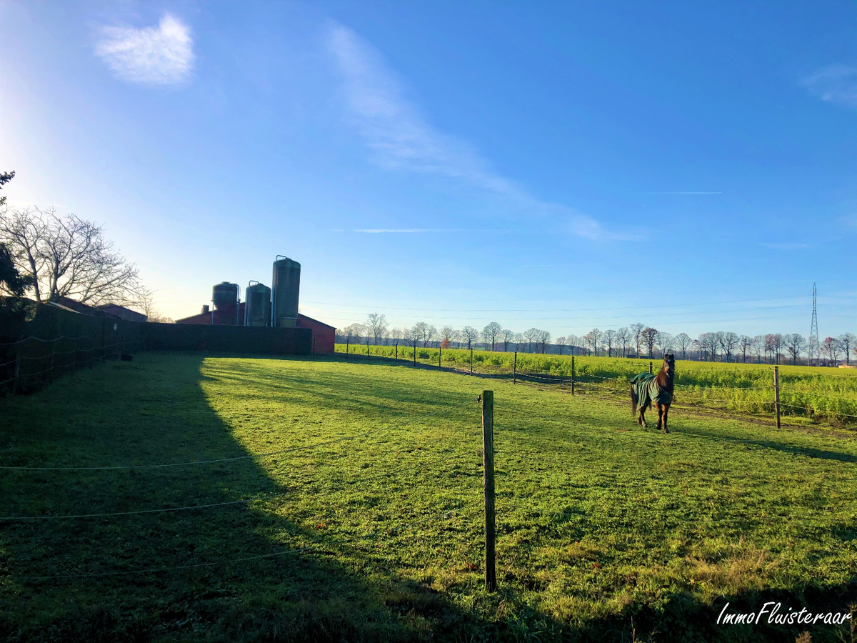 Boerderij met stalgebouwen en weilanden op ca. 1,17ha met uitbreidingsmogelijkheden van 5ha te Bree 