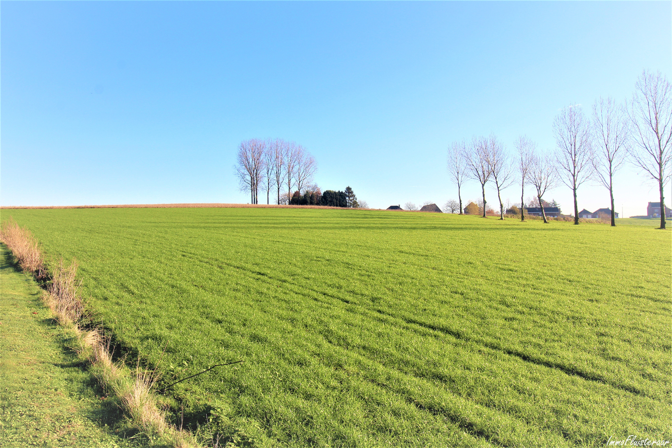 Prachtige villa met ruim bijgebouw en weiland op ca. 2ha te Bever (Vlaams-Brabant) 