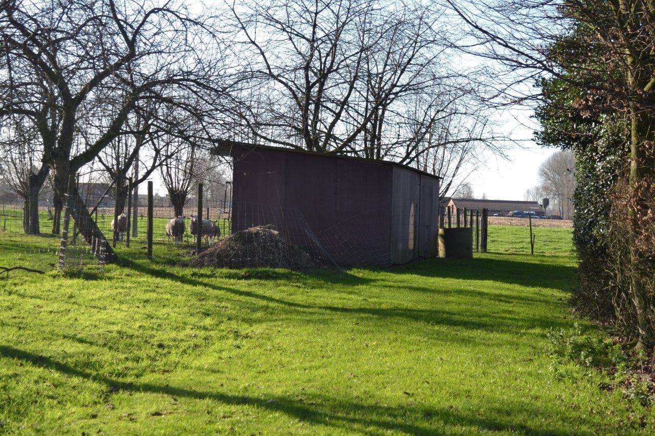 Hoeve met stallen op ca. 2Ha te Nieuwkerken-Waas (uitbreiding tot 4,5Ha mogelijk) 