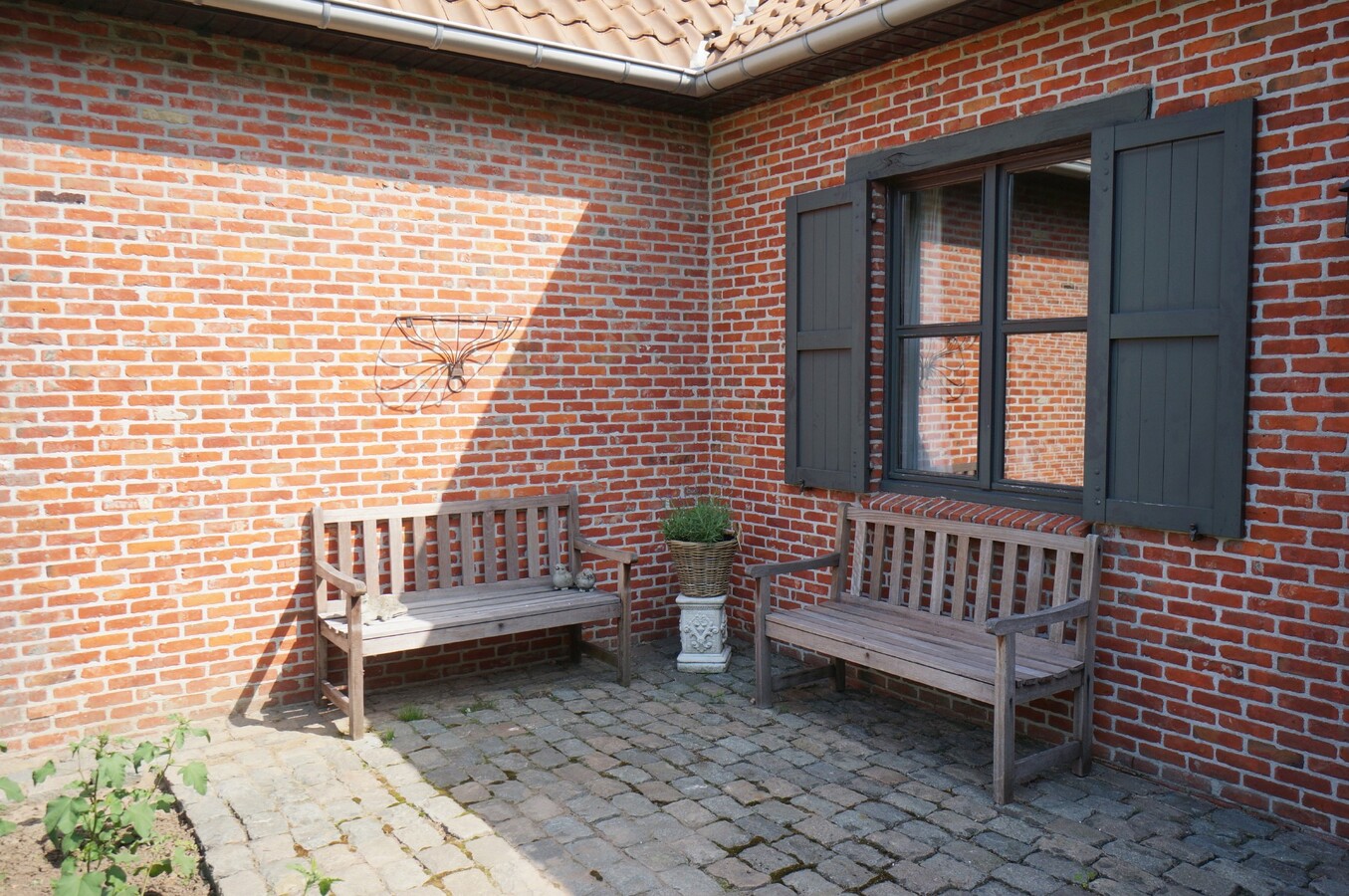 Verzorgde woning met stallen en piste op ca. 5374m&#178; te Wortel (Hoogstraten) 