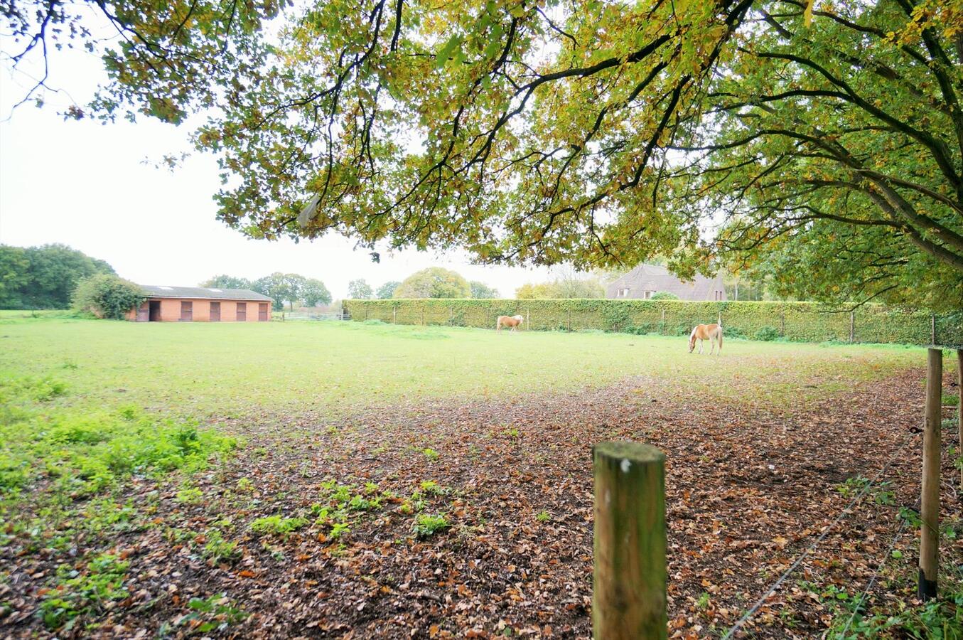 Prachtig landhuis met 5 stallen en weide op ca. 1,4 ha te Westerlo 