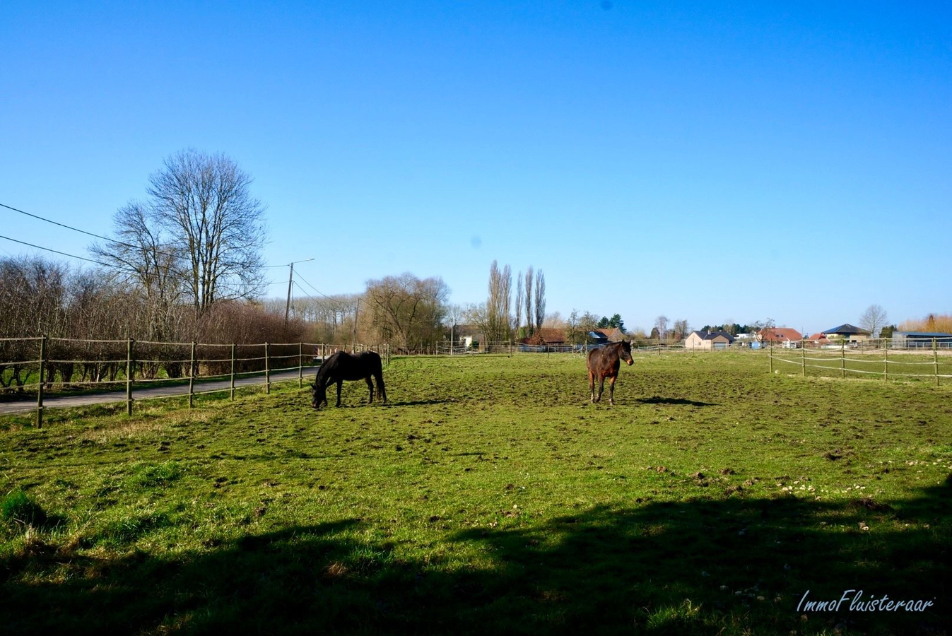 Propriété vendu À Tongeren