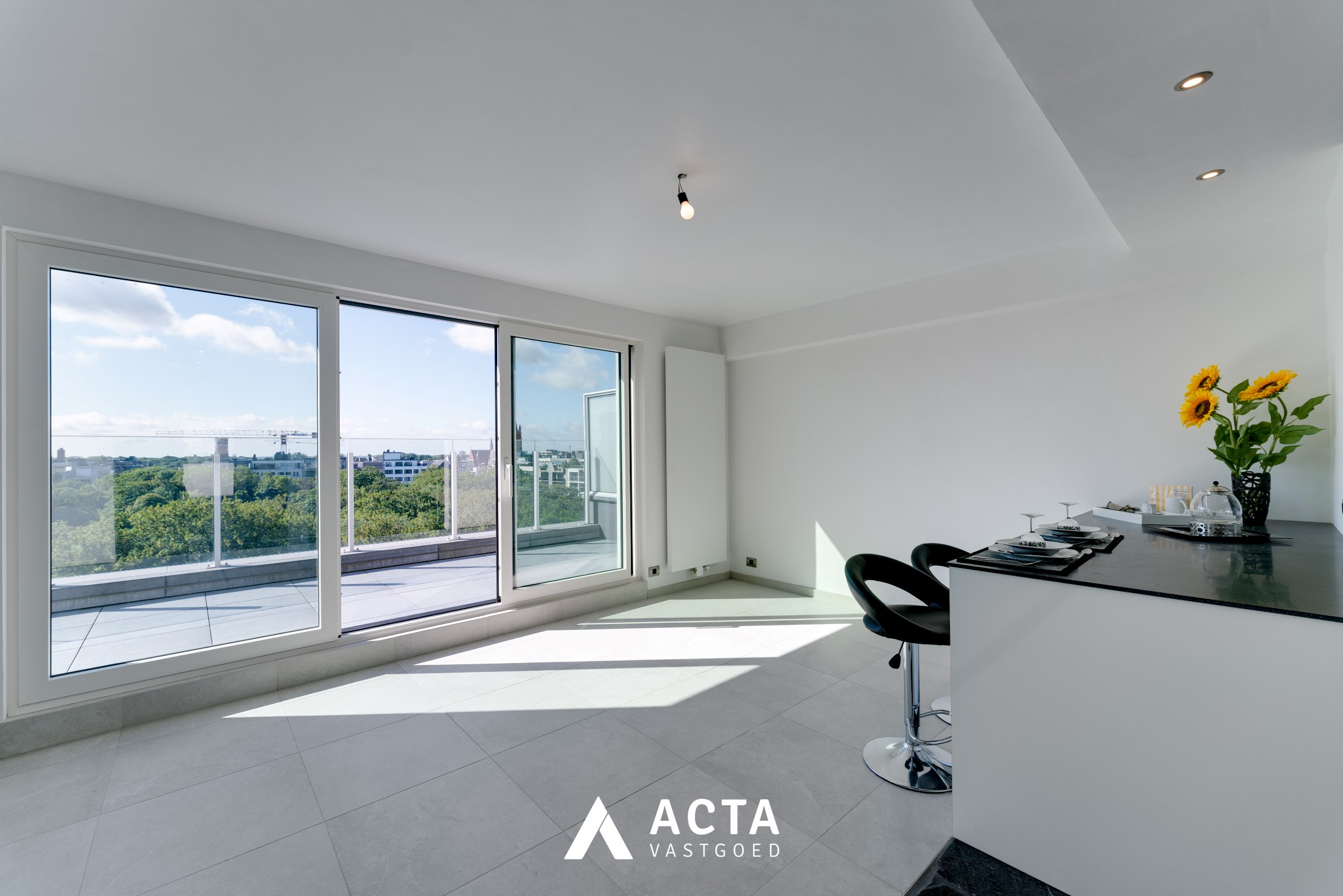 Gerenoveerde penthouse met drie slaapkamers aan het Leopoldpark 