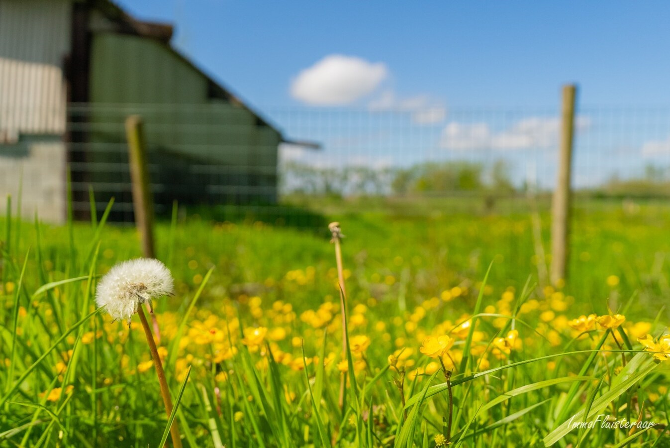 Idyllisch gelegen te renoveren hoeve te Melle op ca. 9,3ha 