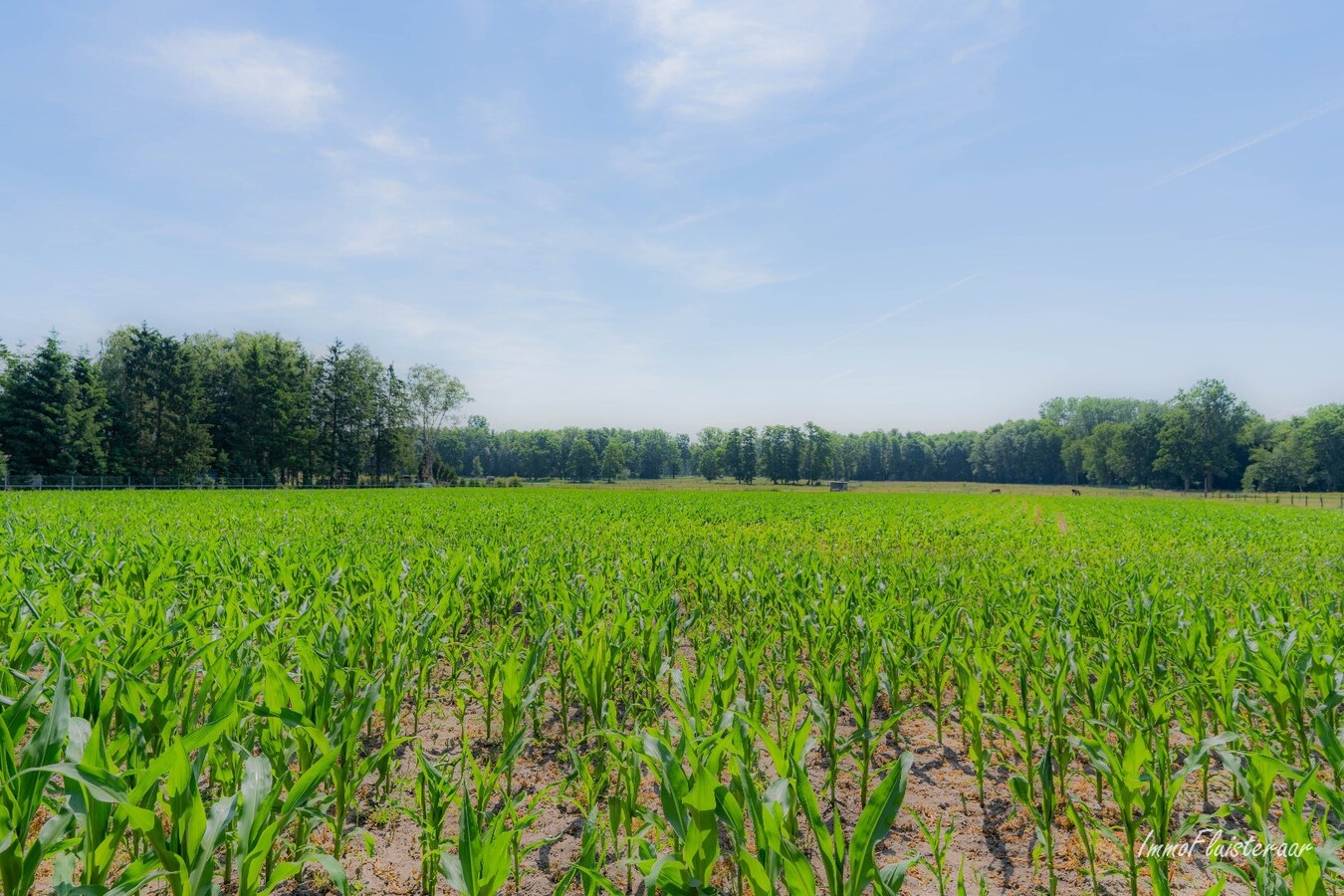 Belle maison avec &#233;curie et terrain d&#39;environ 1,63 ha &#224; Opglabbeek (Oudsbergen) 