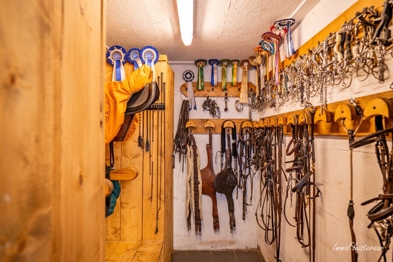 Complete horse accommodation on approximately 3.5 hectares in Helchteren 