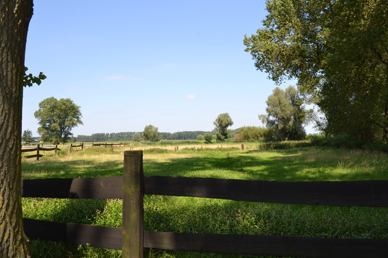 Hoeve met drafbaan op 4,5Ha te Torhout (W-Vl) 