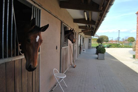 Landelijke woning met 6 stallen 