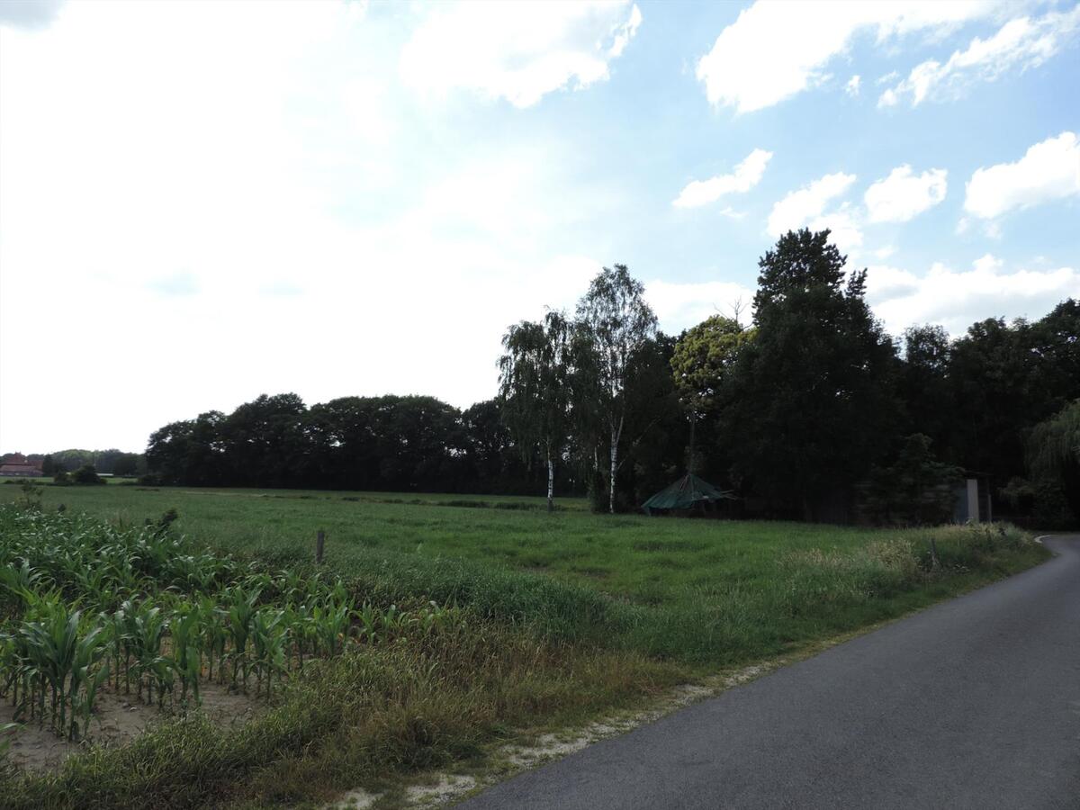 Woonhuis met authentieke hoeve op +/-5ha te Bree 