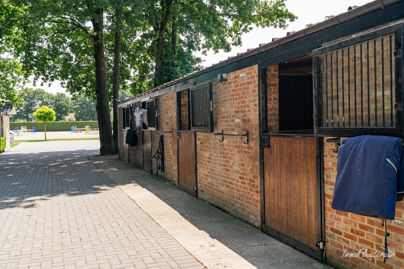 Complete horse accommodation on approximately 3.5 hectares in Helchteren 