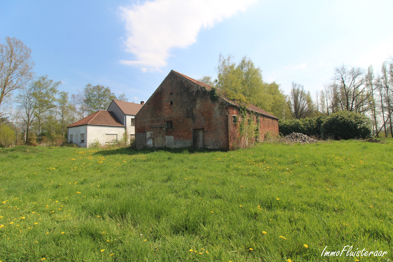 IN OPTIE - Te renoveren woning met stalgebouw/landgebouw en grond op ca. 4,20ha te Aarschot (Vlaams-Brabant) 