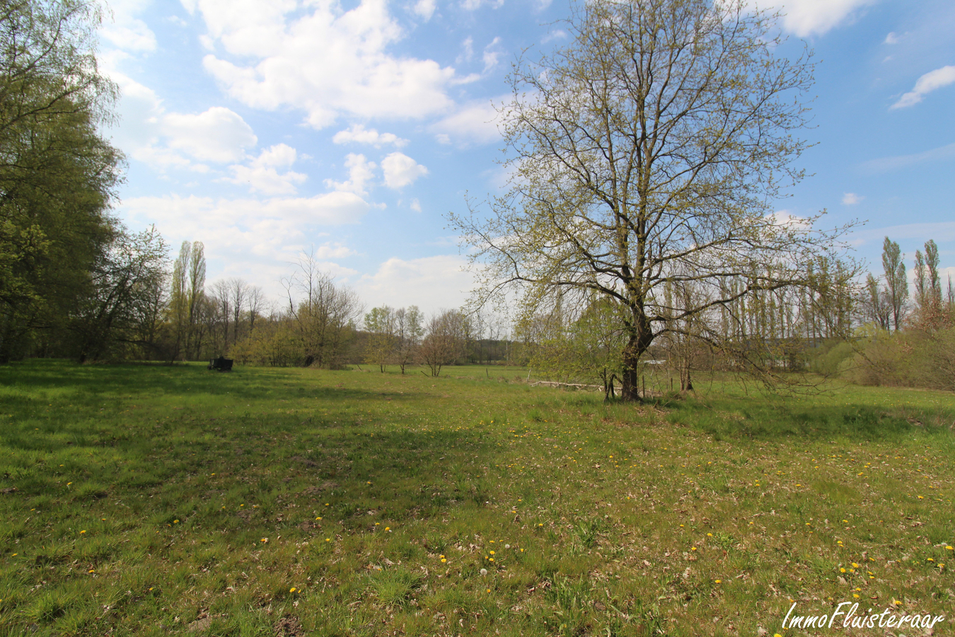 IN OPTIE - Te renoveren woning met stalgebouw/landgebouw en grond op ca. 4,20ha te Aarschot (Vlaams-Brabant) 