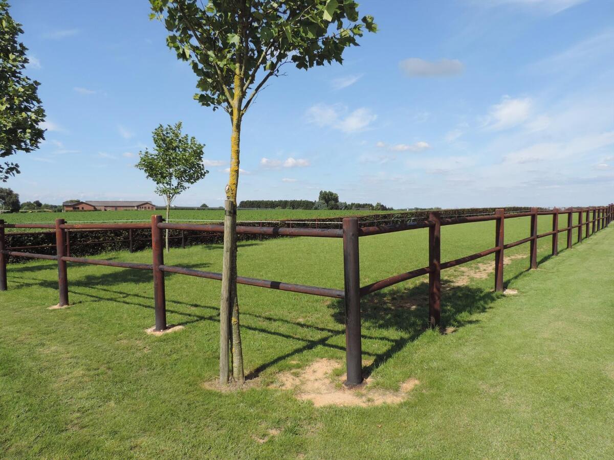 Luxueus landhuis met hippisch complex op ca. 2,7 ha te Ulestraten (NL) 