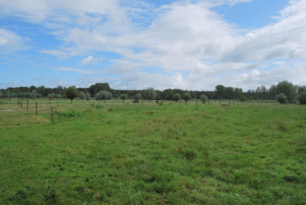 Bouwgrond/volledig te verbouwen woning op ca. 2ha te Waasmunster 